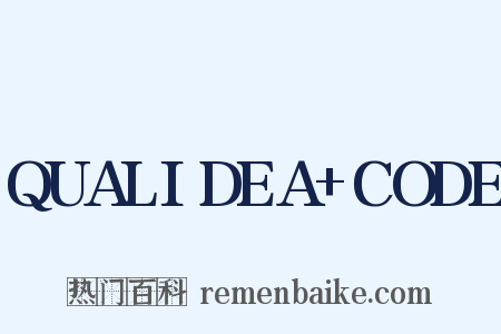 QUALIDEA+CODE是什么意思的图片